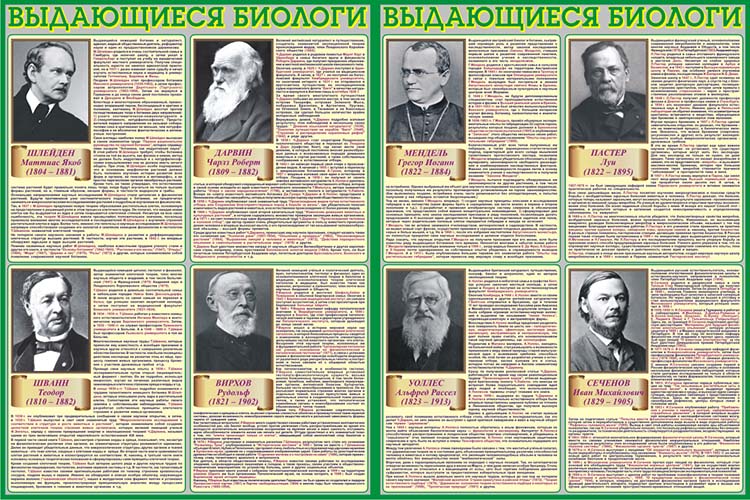 Ученые биологи таблица. Выдающиеся биологи. Выдающиеся ученые биологи. Известные личности в биологии. Известные ученые биологи.